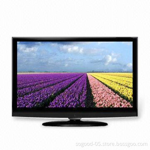 19-inch LCD TV with DVB-T, ATSC, or ISDB-T Digital TV Tuner